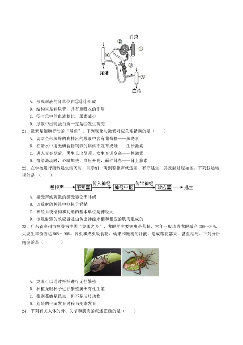 生物（云南卷）（考试版A4）_初中全科电子版试卷练习试题_生物_2024中考模拟题生物(1)_三模（37套）_生物（云南卷）