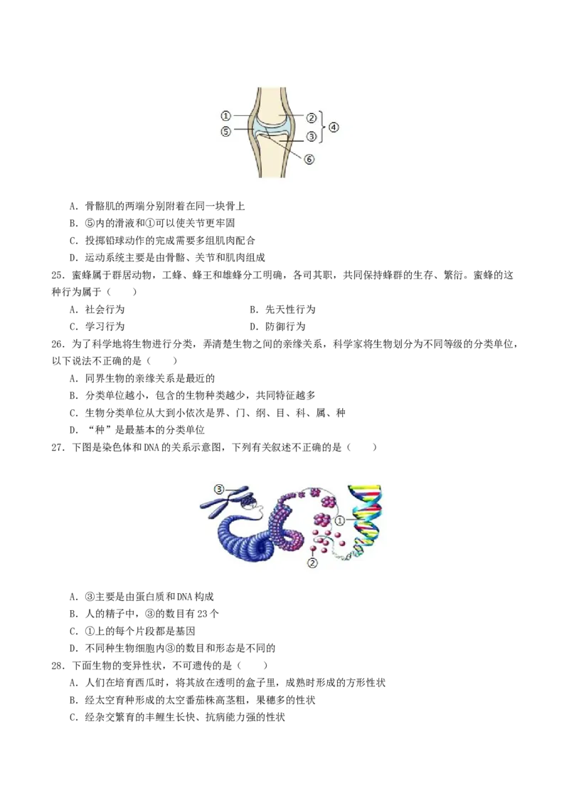 生物（云南卷）（考试版A4）_初中全科电子版试卷练习试题_生物_2024中考模拟题生物(1)_三模（37套）_生物（云南卷）