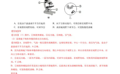 生物（扬州卷）（全解全析）_初中全科电子版试卷练习试题_生物_2024中考模拟题生物(1)_一模_生物（扬州卷）-2024年中考第一次模拟考试