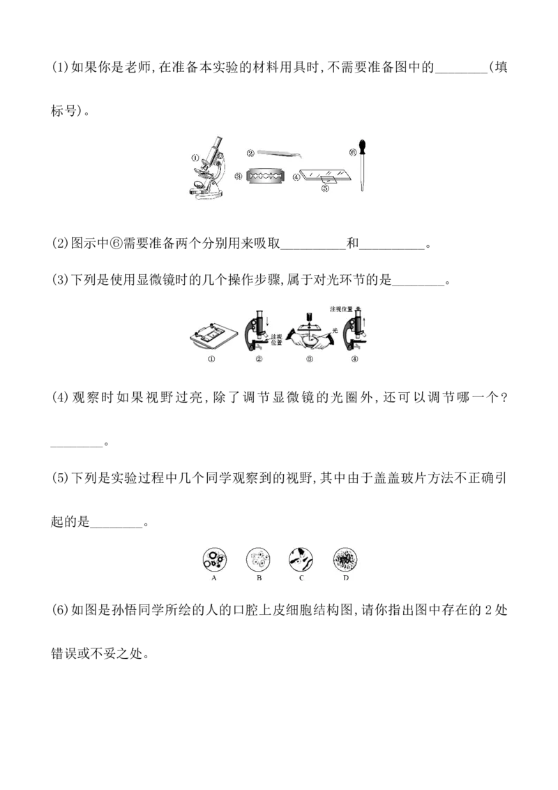 期末冲刺卷2-（人教版）（解析版）_初中全科电子版试卷练习试题_生物_生物人教版7上练习&mdash;24新版已更新_人教生物7年级上期末试卷11份