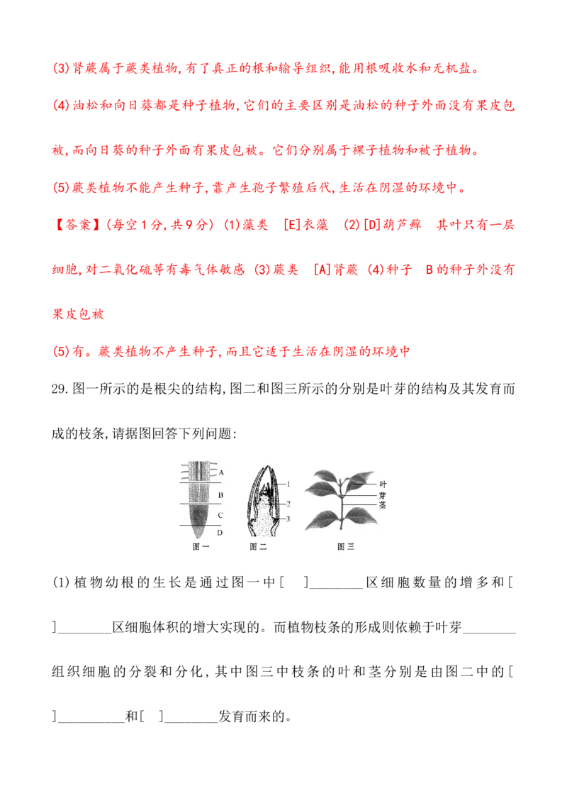 期末冲刺卷2-（人教版）（解析版）_初中全科电子版试卷练习试题_生物_生物人教版7上练习&mdash;24新版已更新_人教生物7年级上期末试卷11份
