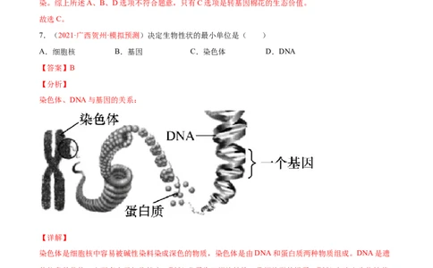 第07单元第02章生物的遗传与变异单元测试（A卷&middot;夯实基础）（解析版）_初中全科电子版试卷练习试题_生物_生物8下练习_人教生物8年级下单元试卷38份