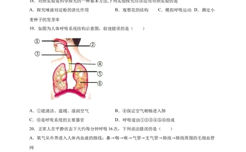第三单元人体的呼吸（选拔卷）-单元测试（人教版）（原卷版）_初中全科电子版试卷练习试题_生物_生物人教版7下练习_人教生物7年级下单元试卷33份