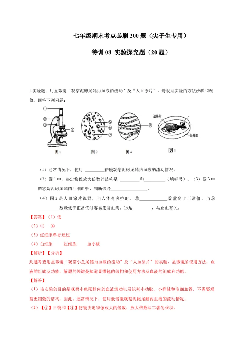 特训08实验探究题（20题）-（尖子生专用）（解析版）_初中全科电子版试卷练习试题_生物_生物人教版7下练习_人教生物7年级下专项练习16份