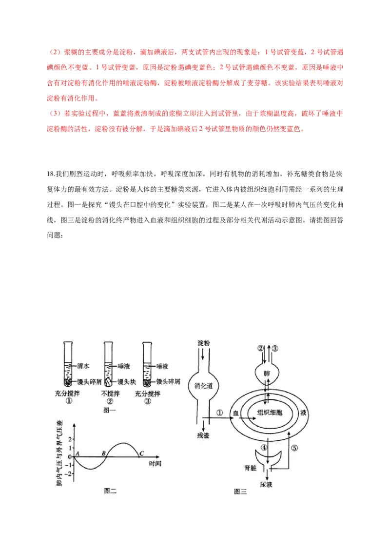 特训08实验探究题（20题）-（尖子生专用）（解析版）_初中全科电子版试卷练习试题_生物_生物人教版7下练习_人教生物7年级下专项练习16份