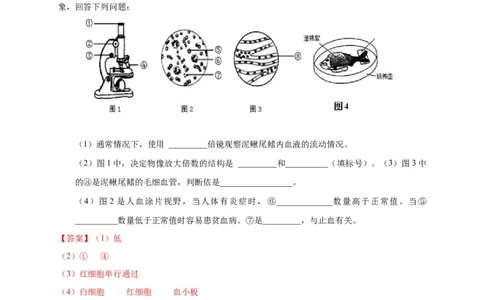 特训08实验探究题（20题）-（尖子生专用）（解析版）_初中全科电子版试卷练习试题_生物_生物人教版7下练习_人教生物7年级下专项练习16份