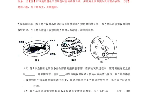 特训08实验探究题（20题）-（尖子生专用）（解析版）_初中全科电子版试卷练习试题_生物_生物人教版7下练习_人教生物7年级下专项练习16份