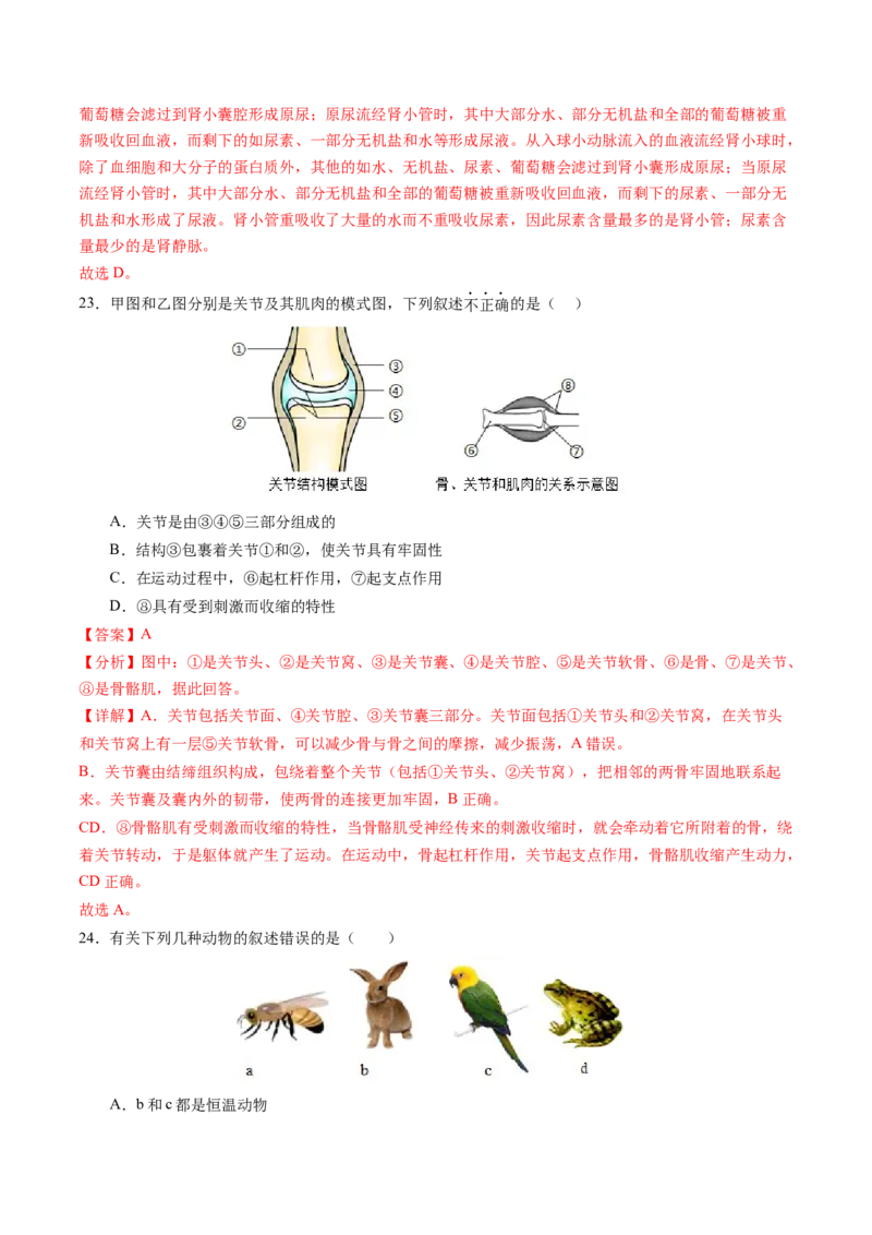 生物（新疆卷）（全解全析）_初中全科电子版试卷练习试题_生物_2024中考模拟题生物(1)_一模_生物（新疆卷）-2024年中考第一次模拟考试