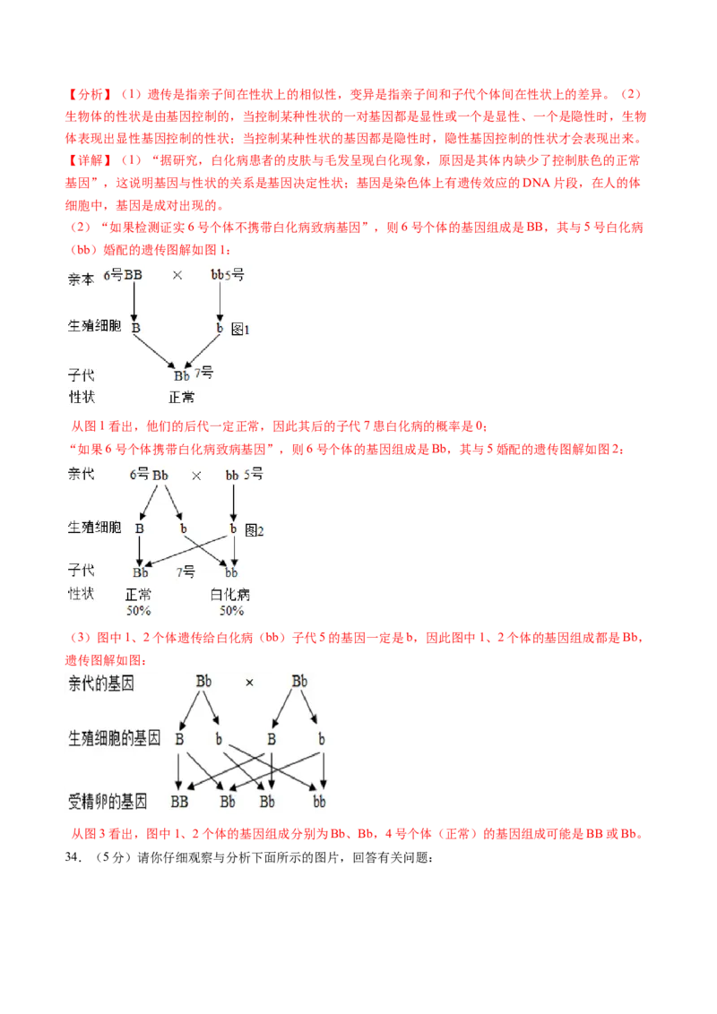 生物（新疆卷）（全解全析）_初中全科电子版试卷练习试题_生物_2024中考模拟题生物(1)_一模_生物（新疆卷）-2024年中考第一次模拟考试