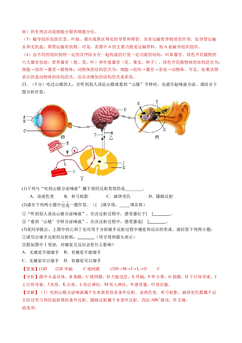 生物（重庆卷）（全解全析）_初中全科电子版试卷练习试题_生物_2024中考模拟题生物(1)_三模（37套）_生物（重庆卷）