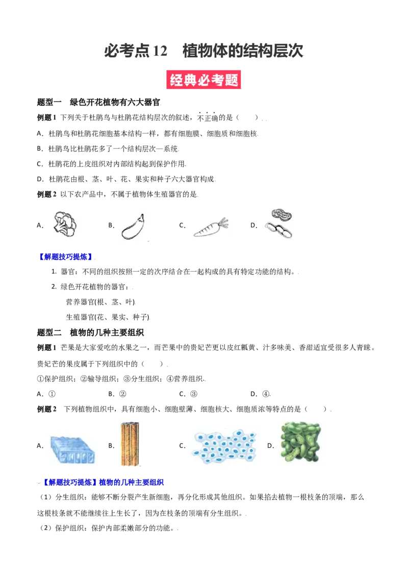 必考点12植物体的结构层次-（人教版）（原卷版）_初中全科电子版试卷练习试题_生物_生物人教版7上练习&mdash;24新版已更新_人教生物7年级上专项练习28份