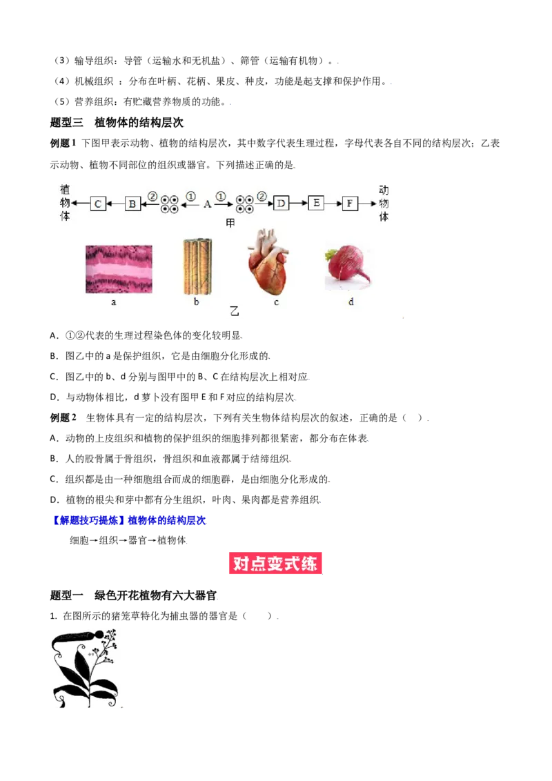 必考点12植物体的结构层次-（人教版）（原卷版）_初中全科电子版试卷练习试题_生物_生物人教版7上练习&mdash;24新版已更新_人教生物7年级上专项练习28份