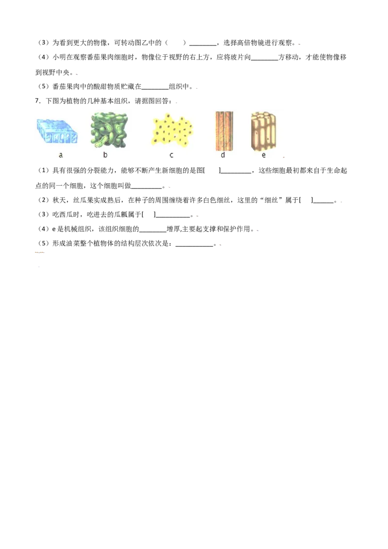 必考点12植物体的结构层次-（人教版）（原卷版）_初中全科电子版试卷练习试题_生物_生物人教版7上练习&mdash;24新版已更新_人教生物7年级上专项练习28份