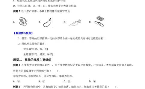 必考点12植物体的结构层次-（人教版）（原卷版）_初中全科电子版试卷练习试题_生物_生物人教版7上练习&mdash;24新版已更新_人教生物7年级上专项练习28份