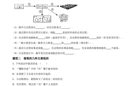 必考点12植物体的结构层次-（人教版）（原卷版）_初中全科电子版试卷练习试题_生物_生物人教版7上练习&mdash;24新版已更新_人教生物7年级上专项练习28份