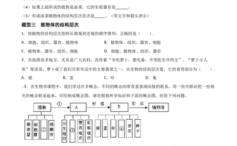 必考点12植物体的结构层次-（人教版）（原卷版）_初中全科电子版试卷练习试题_生物_生物人教版7上练习&mdash;24新版已更新_人教生物7年级上专项练习28份