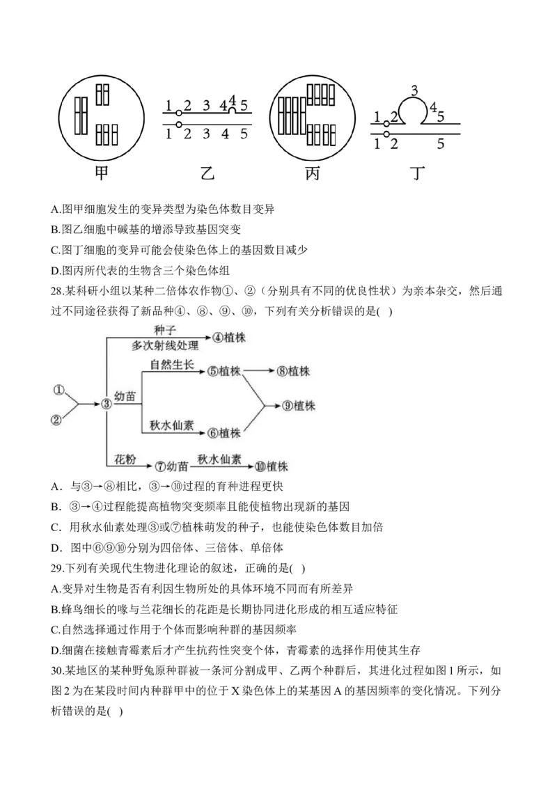 专题十生物的变异和进化（有解析）&mdash;&mdash;2025届高考生物考点剖析_2025年新高考资料_一轮复习_2025届高考生物一轮复习考点剖析练习（有解析）