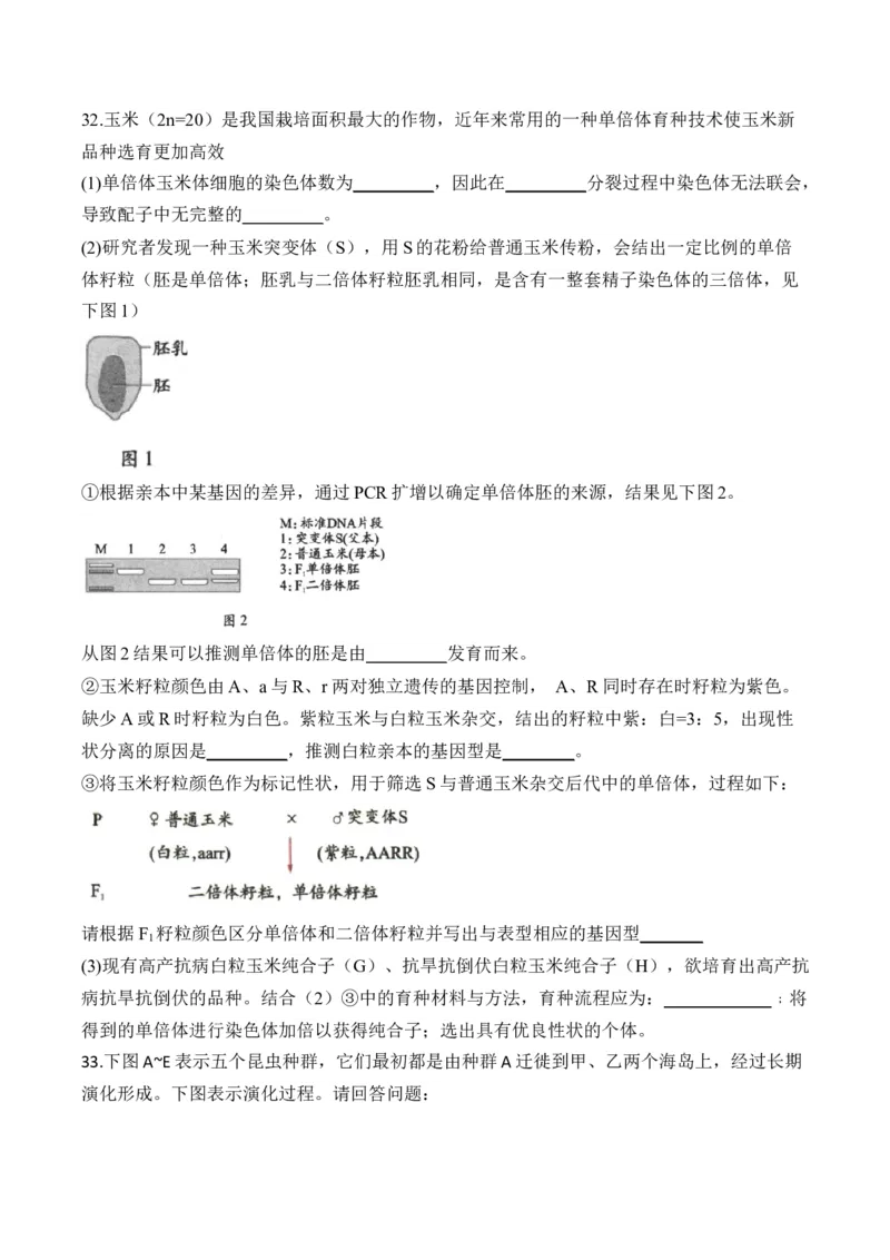 专题十生物的变异和进化（有解析）&mdash;&mdash;2025届高考生物考点剖析_2025年新高考资料_一轮复习_2025届高考生物一轮复习考点剖析练习（有解析）