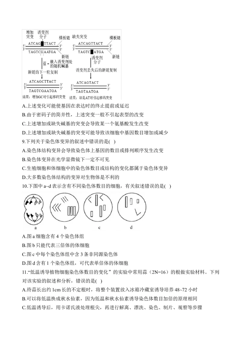 专题十生物的变异和进化（有解析）&mdash;&mdash;2025届高考生物考点剖析_2025年新高考资料_一轮复习_2025届高考生物一轮复习考点剖析练习（有解析）