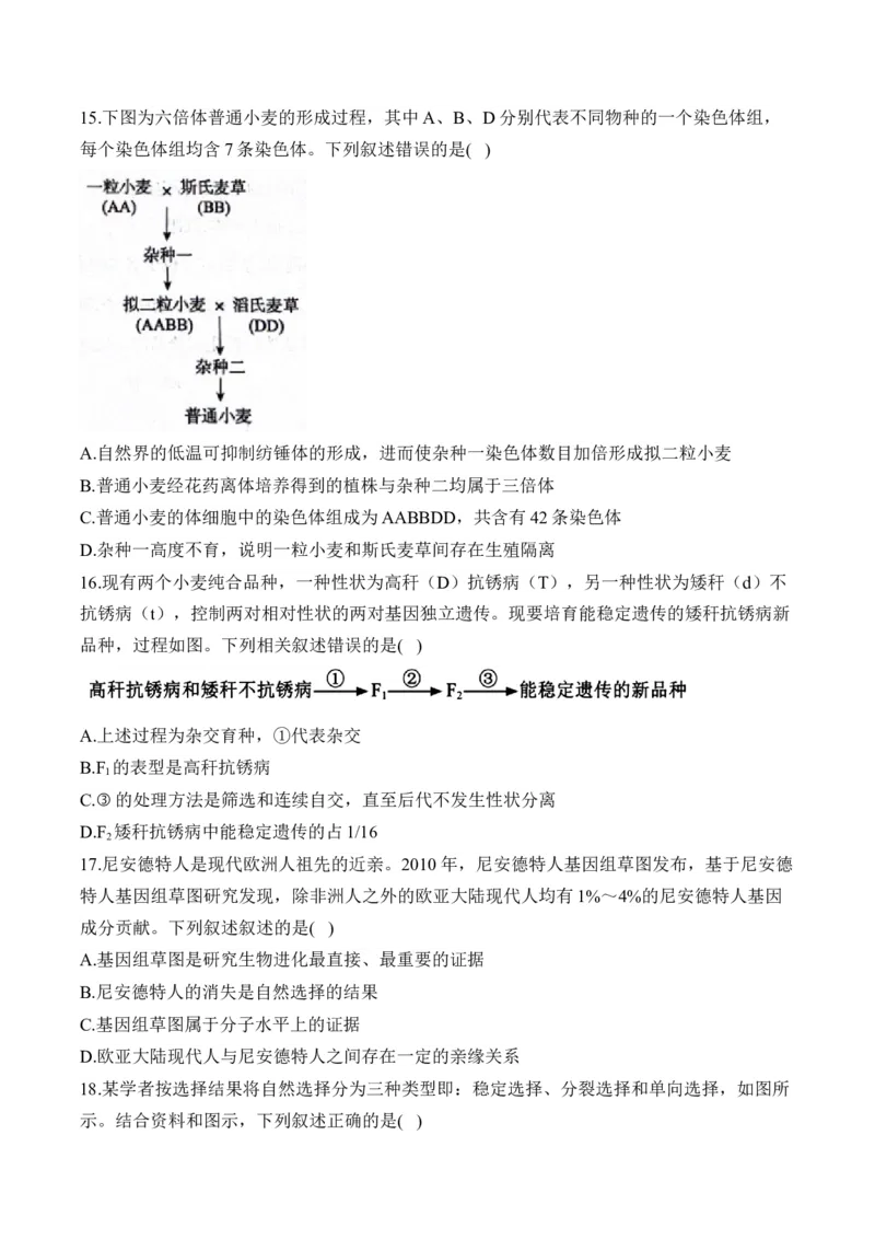 专题十生物的变异和进化（有解析）&mdash;&mdash;2025届高考生物考点剖析_2025年新高考资料_一轮复习_2025届高考生物一轮复习考点剖析练习（有解析）