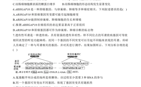 专题十生物的变异和进化（有解析）&mdash;&mdash;2025届高考生物考点剖析_2025年新高考资料_一轮复习_2025届高考生物一轮复习考点剖析练习（有解析）