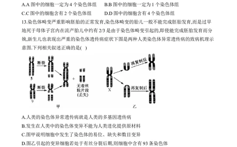 专题十生物的变异和进化（有解析）&mdash;&mdash;2025届高考生物考点剖析_2025年新高考资料_一轮复习_2025届高考生物一轮复习考点剖析练习（有解析）