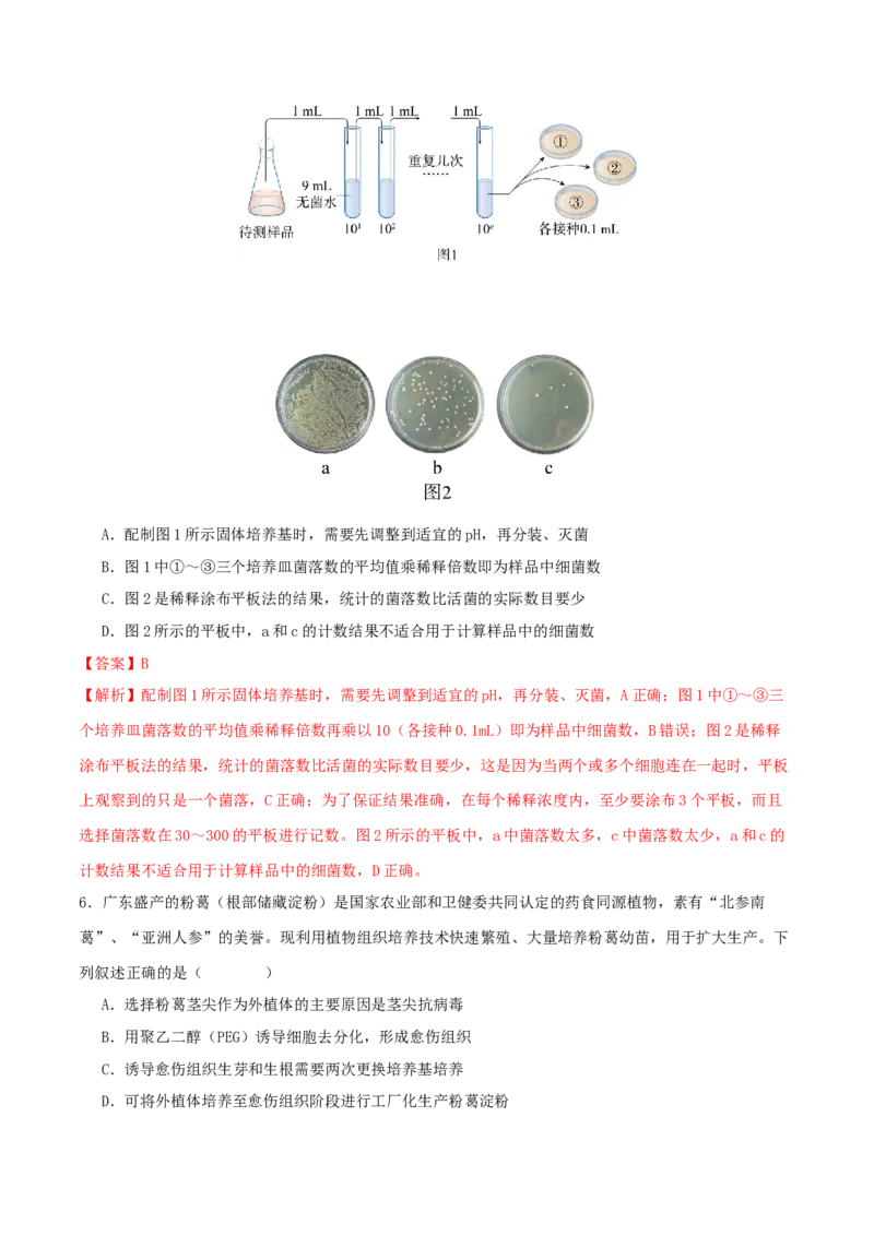 专题八生物技术与工程（解析版）_2025年新高考资料_二轮复习_01高考语文等多个文件_上好课2025年高考生物二轮复习讲练测（新高考通用）