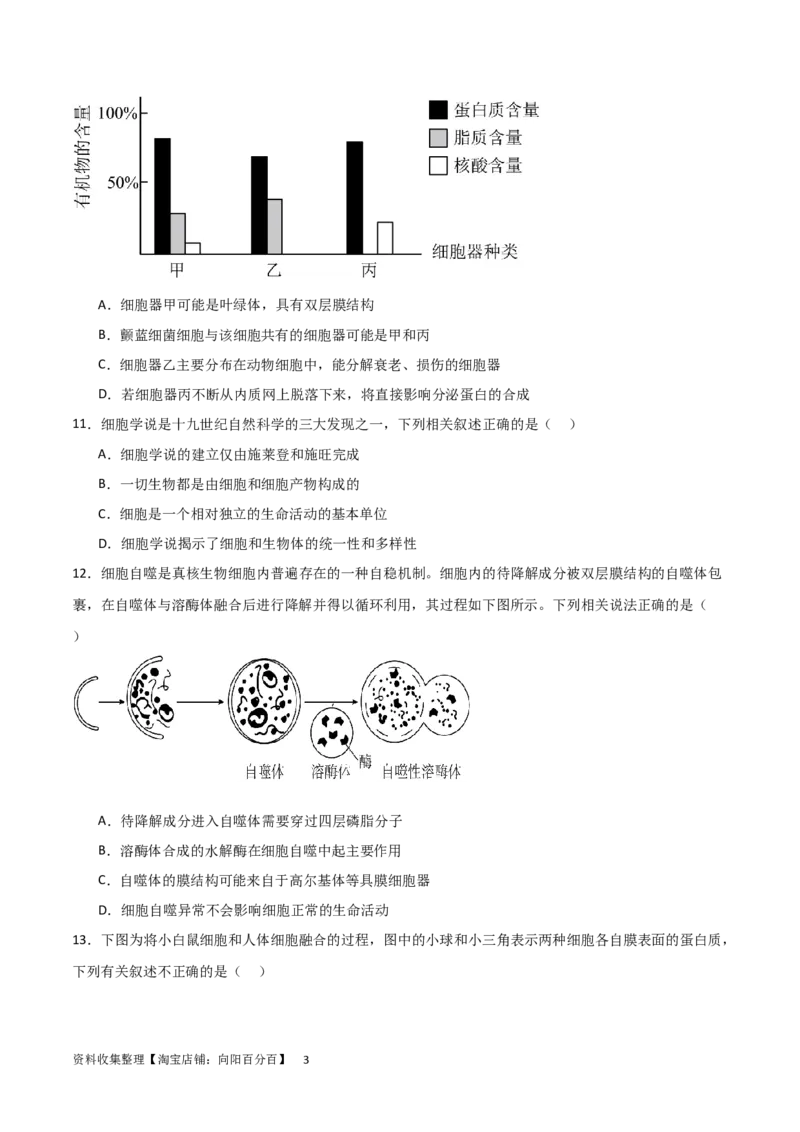 单元检测卷02细胞的结构、功能和物质运输（原卷版）_新高考复习资料_2024年新高考复习资料_一轮复习资料_完2024年高考生物一轮复习考点通关卷（新高考）