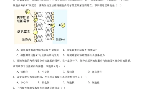单元检测卷02细胞的结构、功能和物质运输（原卷版）_新高考复习资料_2024年新高考复习资料_一轮复习资料_完2024年高考生物一轮复习考点通关卷（新高考）