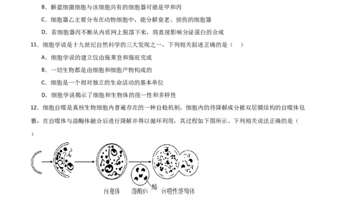 单元检测卷02细胞的结构、功能和物质运输（原卷版）_新高考复习资料_2024年新高考复习资料_一轮复习资料_完2024年高考生物一轮复习考点通关卷（新高考）