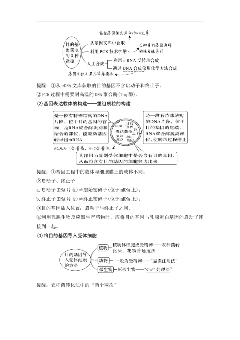 专题十生物工程(解析版）_新高考复习资料_2023年新高考复习资料_二轮复习_过二轮备战2023年高考生物二轮专题剖析与综合训练（新教材）