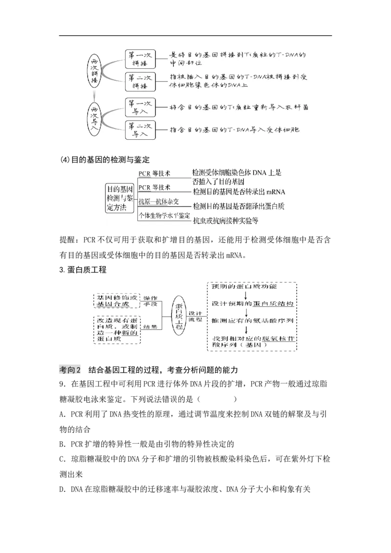 专题十生物工程(解析版）_新高考复习资料_2023年新高考复习资料_二轮复习_过二轮备战2023年高考生物二轮专题剖析与综合训练（新教材）