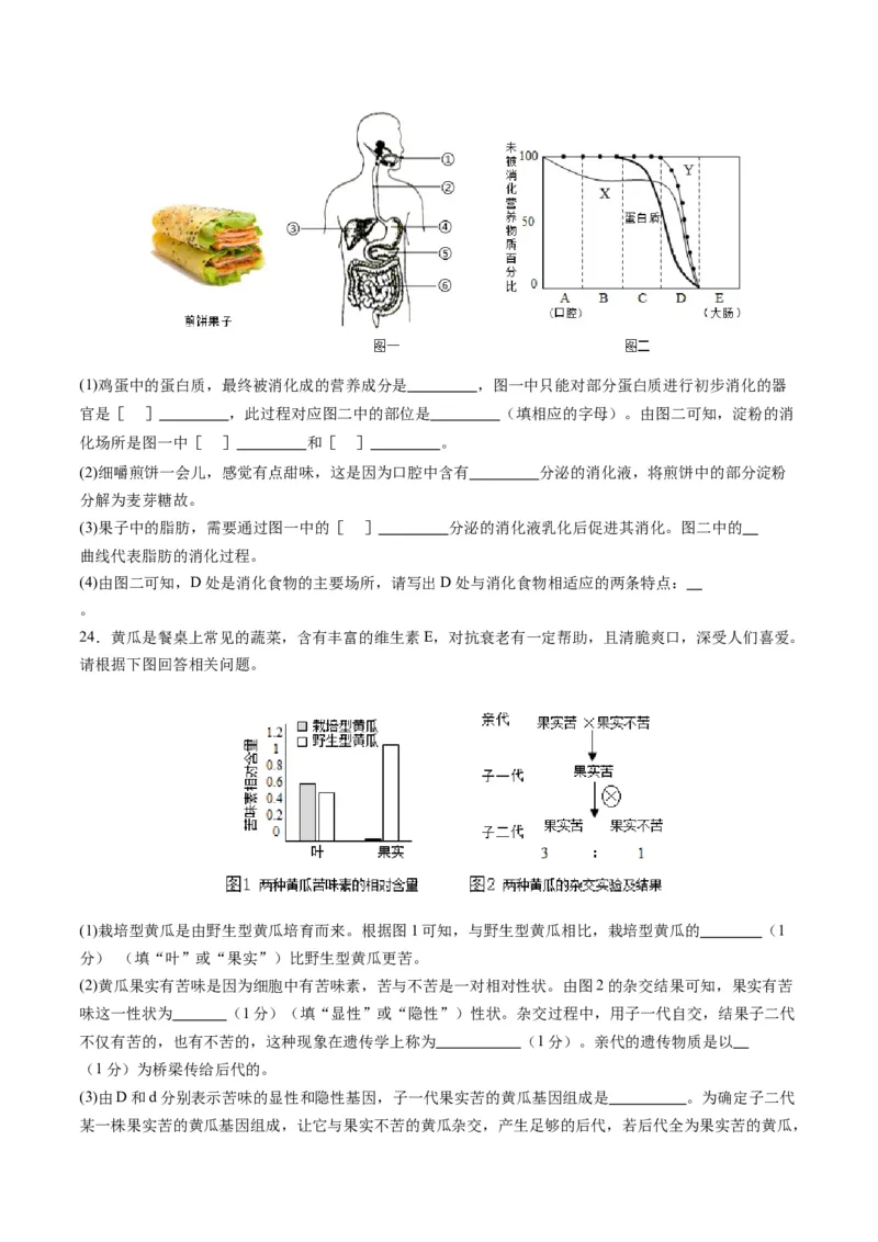 生物（四川成都卷）（考试版A4）_初中全科电子版试卷练习试题_生物_2024中考模拟题生物(1)_一模_生物（四川成都卷）-2024年中考第一次模拟考试