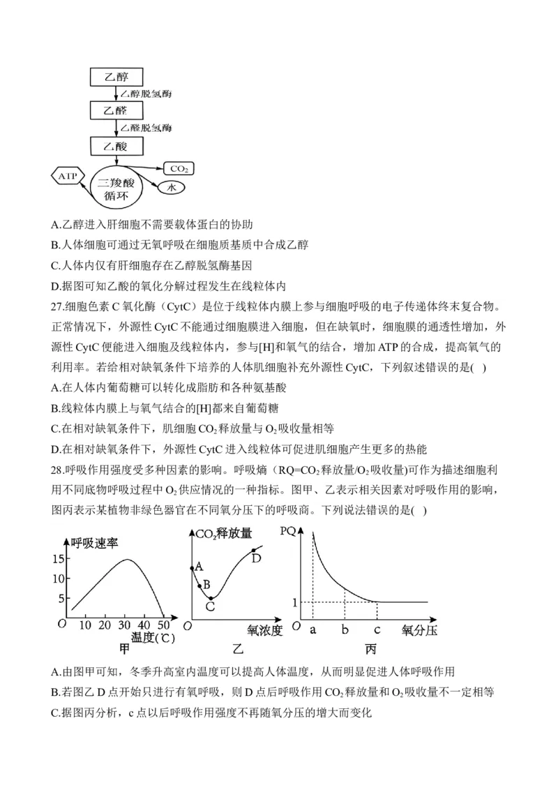 专题四细胞的能量供应和利用&mdash;&mdash;2025届高考生物考点剖析（含解析）_2025年新高考资料_一轮复习_2025届高考生物一轮复习考点剖析练习（有解析）
