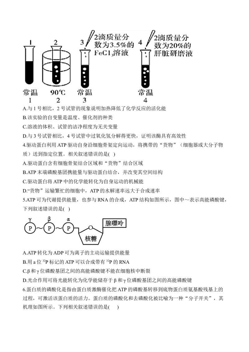 专题四细胞的能量供应和利用&mdash;&mdash;2025届高考生物考点剖析（含解析）_2025年新高考资料_一轮复习_2025届高考生物一轮复习考点剖析练习（有解析）