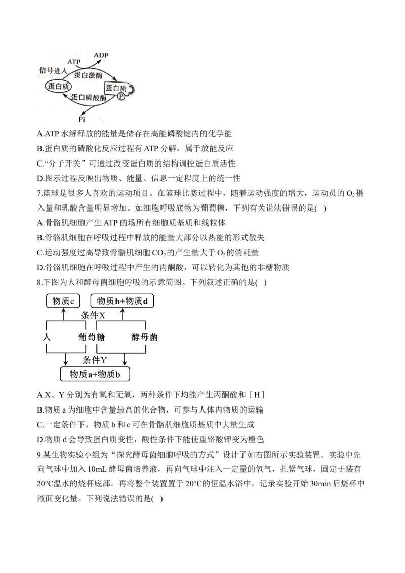 专题四细胞的能量供应和利用&mdash;&mdash;2025届高考生物考点剖析（含解析）_2025年新高考资料_一轮复习_2025届高考生物一轮复习考点剖析练习（有解析）