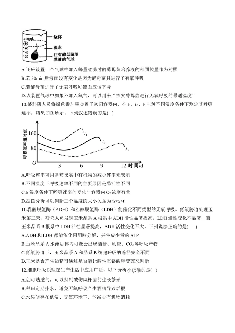 专题四细胞的能量供应和利用&mdash;&mdash;2025届高考生物考点剖析（含解析）_2025年新高考资料_一轮复习_2025届高考生物一轮复习考点剖析练习（有解析）