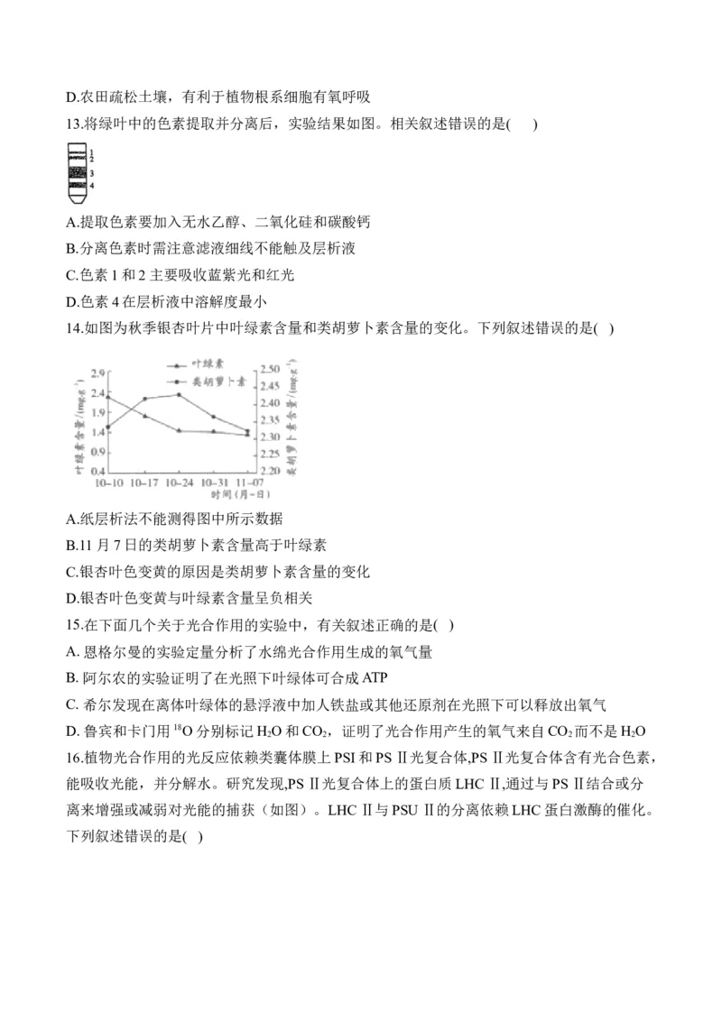 专题四细胞的能量供应和利用&mdash;&mdash;2025届高考生物考点剖析（含解析）_2025年新高考资料_一轮复习_2025届高考生物一轮复习考点剖析练习（有解析）