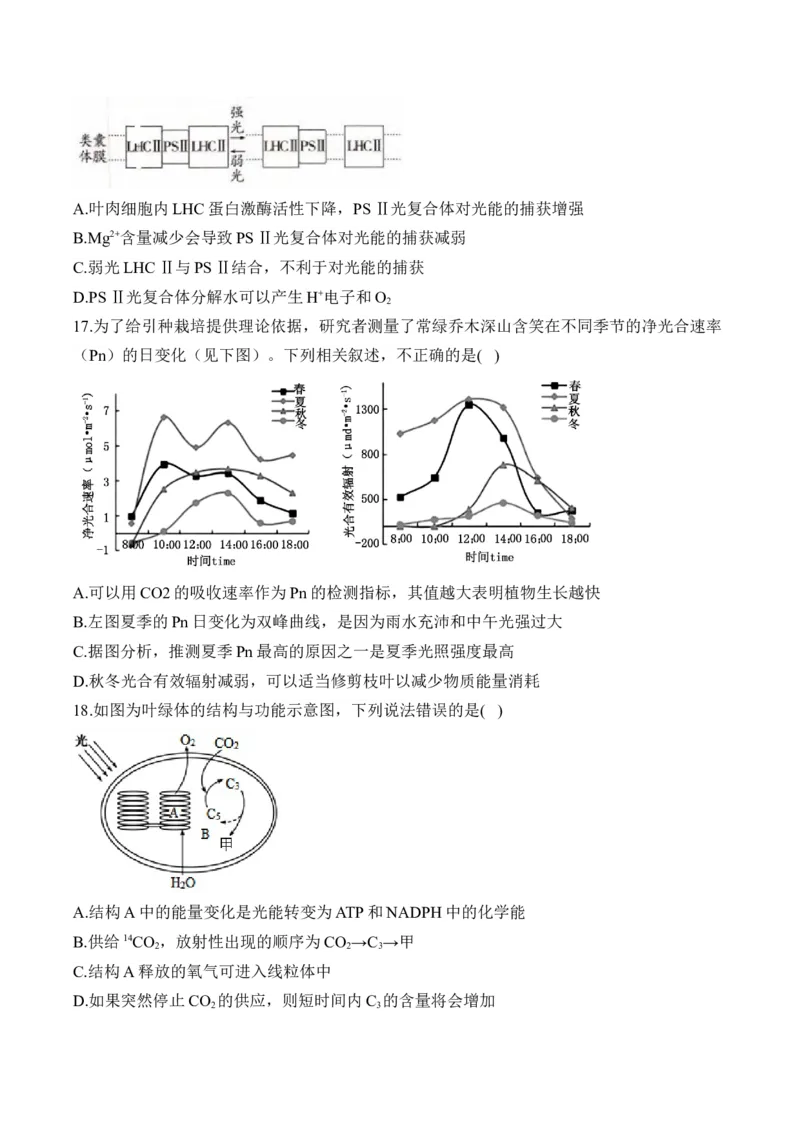 专题四细胞的能量供应和利用&mdash;&mdash;2025届高考生物考点剖析（含解析）_2025年新高考资料_一轮复习_2025届高考生物一轮复习考点剖析练习（有解析）