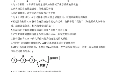 专题四细胞的能量供应和利用&mdash;&mdash;2025届高考生物考点剖析（含解析）_2025年新高考资料_一轮复习_2025届高考生物一轮复习考点剖析练习（有解析）