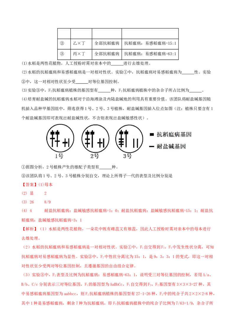专题四遗传的基本规律和人类遗传病（解析版）_2025年新高考资料_二轮复习_上好课2025年高考生物二轮复习讲练测（新高考通用）3380526