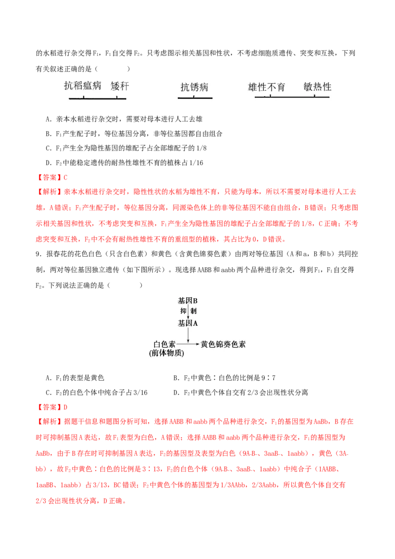 专题四遗传的基本规律和人类遗传病（解析版）_2025年新高考资料_二轮复习_上好课2025年高考生物二轮复习讲练测（新高考通用）3380526