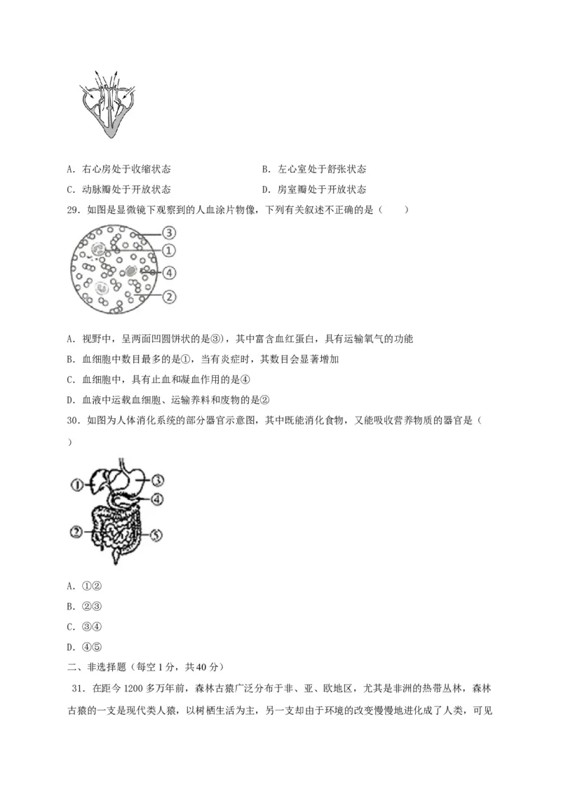 期中测试03-（原卷版）_初中全科电子版试卷练习试题_生物_生物人教版7下练习_人教生物7年级下期中试卷07份