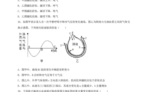 期中测试03-（原卷版）_初中全科电子版试卷练习试题_生物_生物人教版7下练习_人教生物7年级下期中试卷07份
