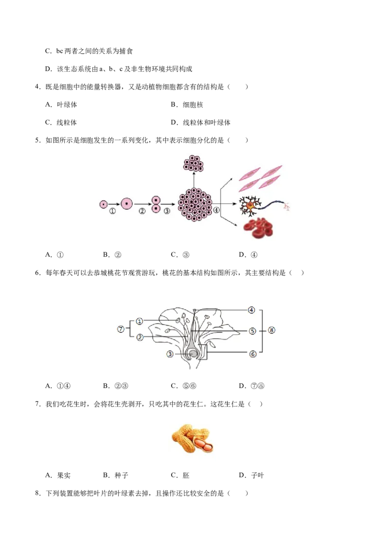 生物（海南卷）（考试版A4）_初中全科电子版试卷练习试题_生物_2024中考模拟题生物(1)_二模_生物（海南卷）-：2024年中考第二次模拟考试