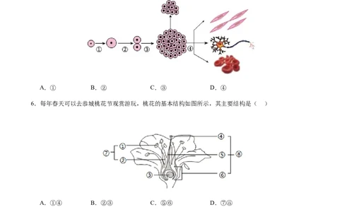 生物（海南卷）（考试版A4）_初中全科电子版试卷练习试题_生物_2024中考模拟题生物(1)_二模_生物（海南卷）-：2024年中考第二次模拟考试