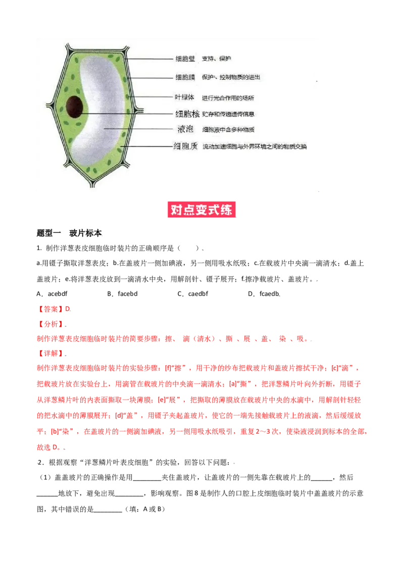 必考点07植物细胞-（人教版）（解析版）_初中全科电子版试卷练习试题_生物_生物人教版7上练习&mdash;24新版已更新_人教生物7年级上专项练习28份