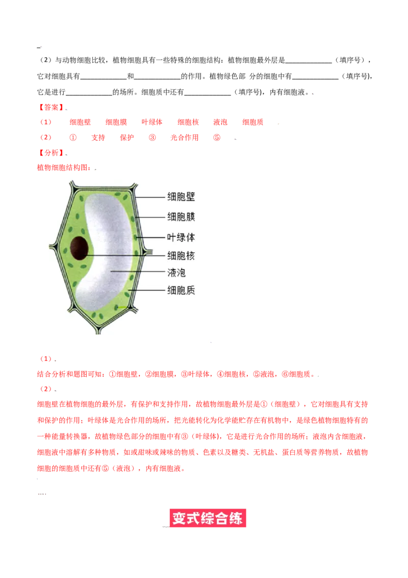 必考点07植物细胞-（人教版）（解析版）_初中全科电子版试卷练习试题_生物_生物人教版7上练习&mdash;24新版已更新_人教生物7年级上专项练习28份