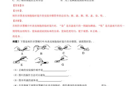 必考点07植物细胞-（人教版）（解析版）_初中全科电子版试卷练习试题_生物_生物人教版7上练习&mdash;24新版已更新_人教生物7年级上专项练习28份