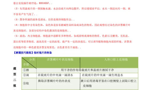 必考点07植物细胞-（人教版）（解析版）_初中全科电子版试卷练习试题_生物_生物人教版7上练习&mdash;24新版已更新_人教生物7年级上专项练习28份